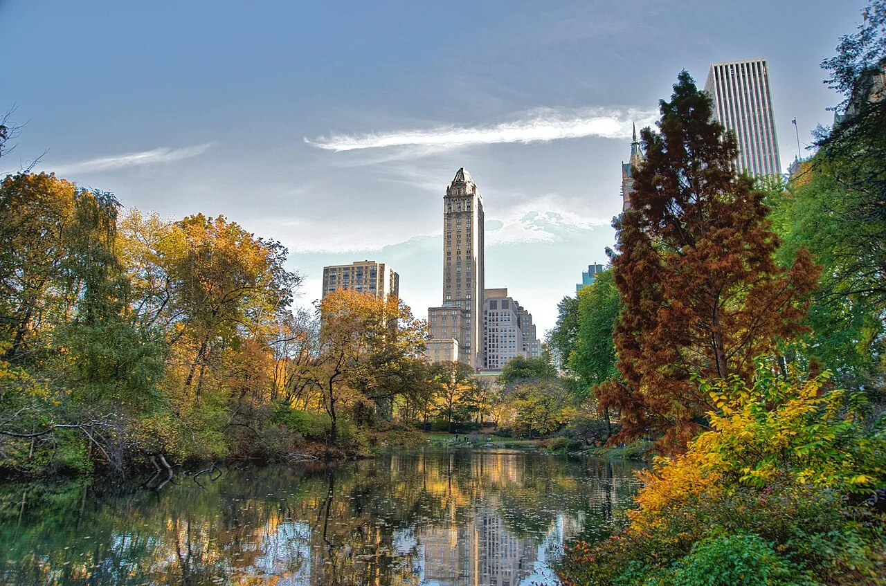 Manhattan skyline with Central Park — Synergy Maids serves all Manhattan neighborhoods