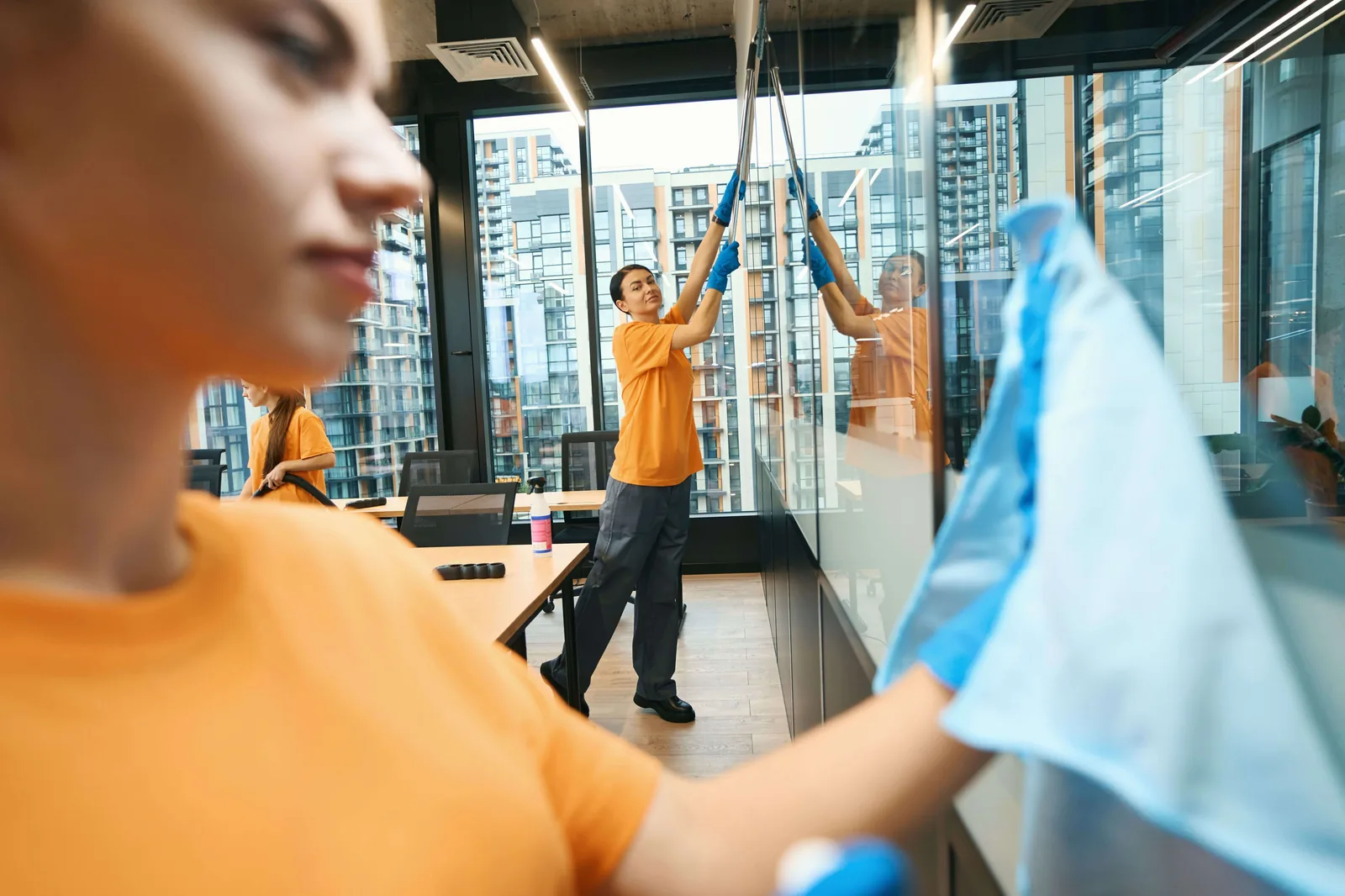 Professional cleaning team